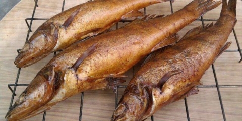 Smuđ hladnog i toplog pušenja u pušnici: recepti, kalorije, fotografije